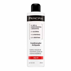 Principia Cond Anticaspa Aq-01 250ml
