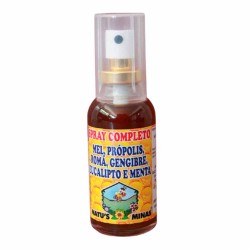 Natus Minas Spray Gengib/mel/propol 35ml